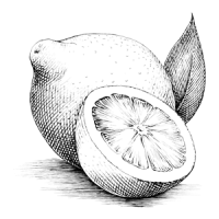 Citron de Sicile
