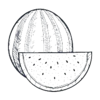 Melon